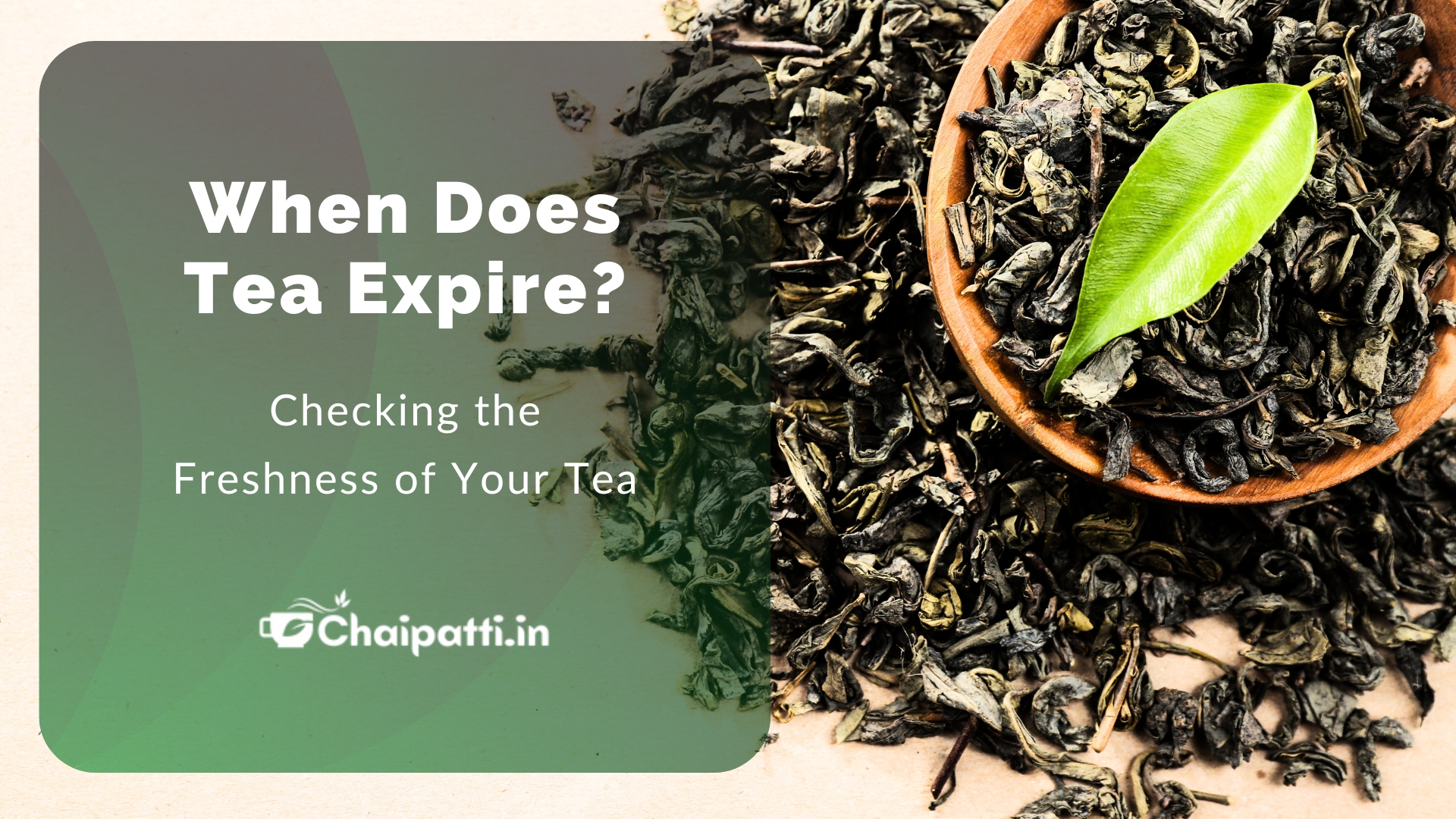 When Does Tea Expire? Checking the Freshness of Your Tea