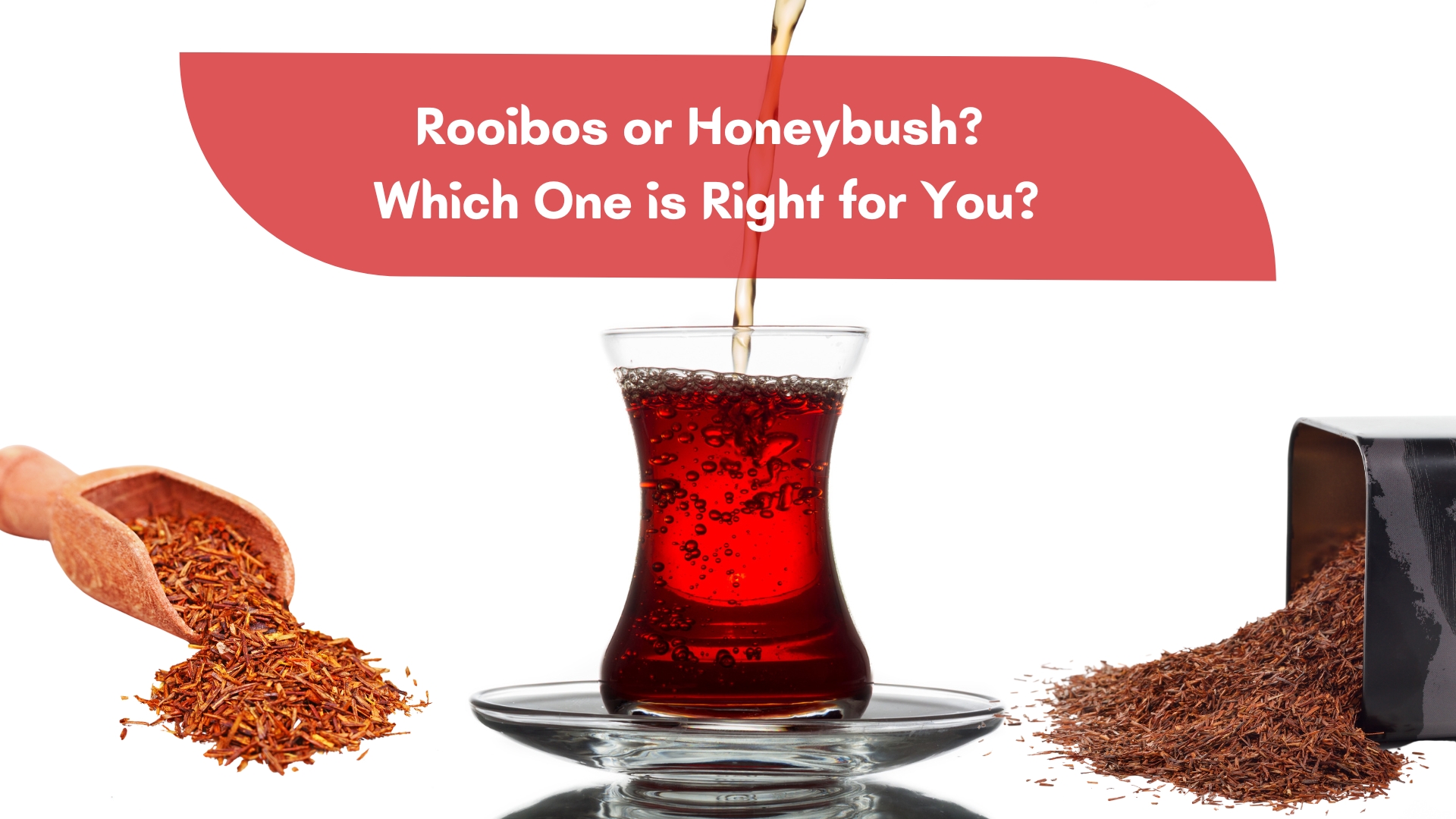 Rooibos or Honeybush? Which One is Right for You?