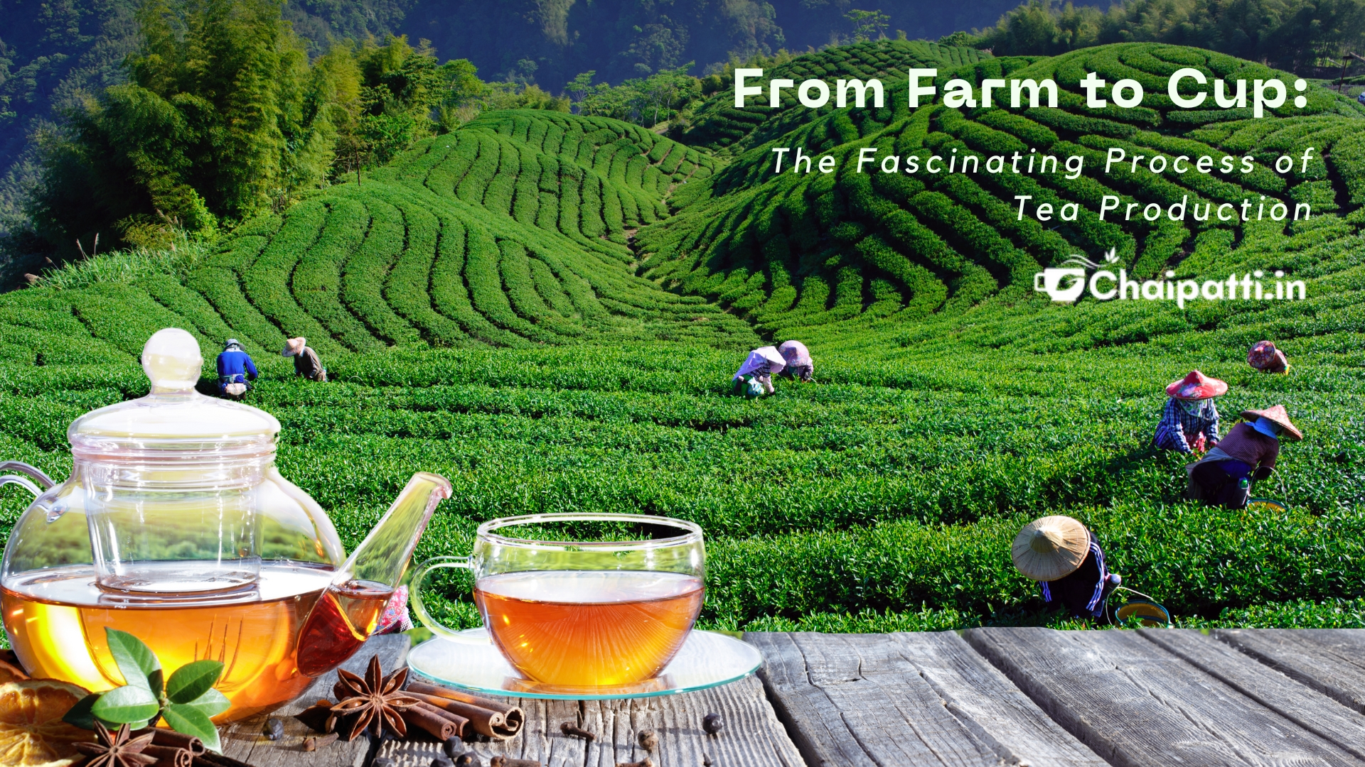 From Farm to Cup: The Fascinating Process of Tea Production